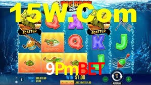 Premium Interface 9Pmbet